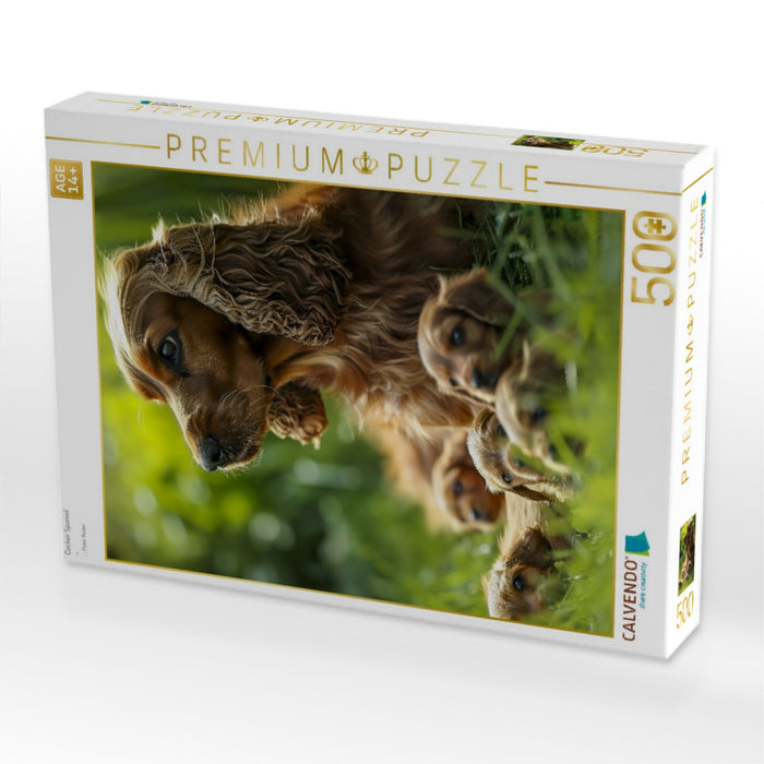 Cocker Spaniel - CALVENDO Foto-Puzzle'