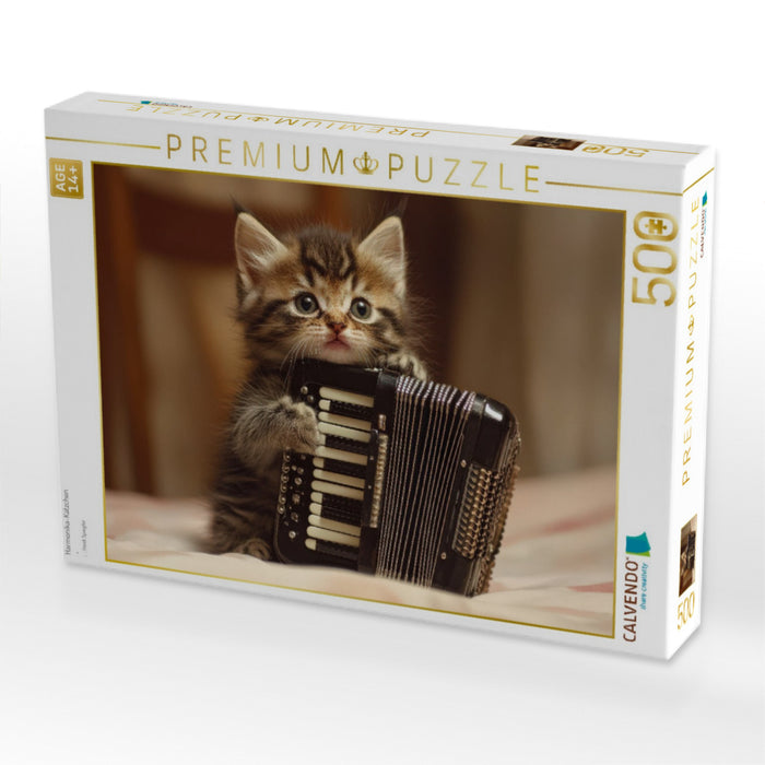 Harmonika-Kätzchen - CALVENDO Foto-Puzzle'