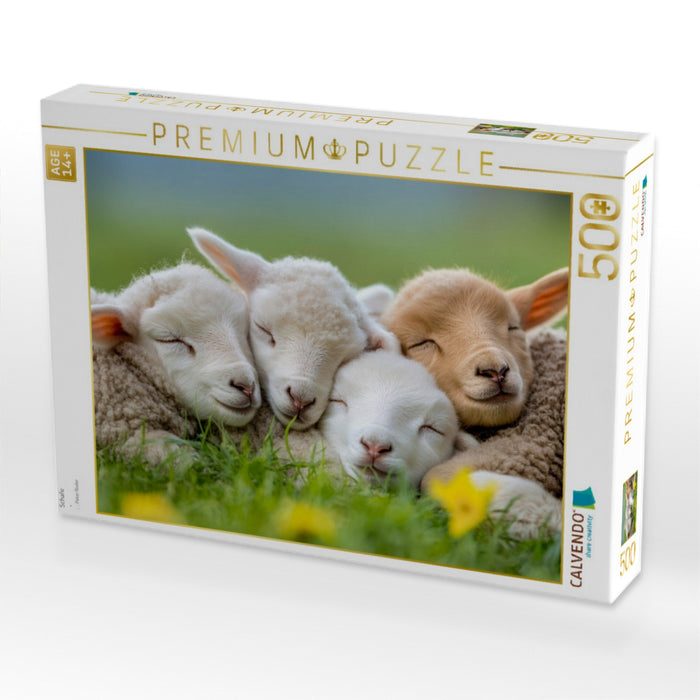 Schafe - CALVENDO Foto-Puzzle'