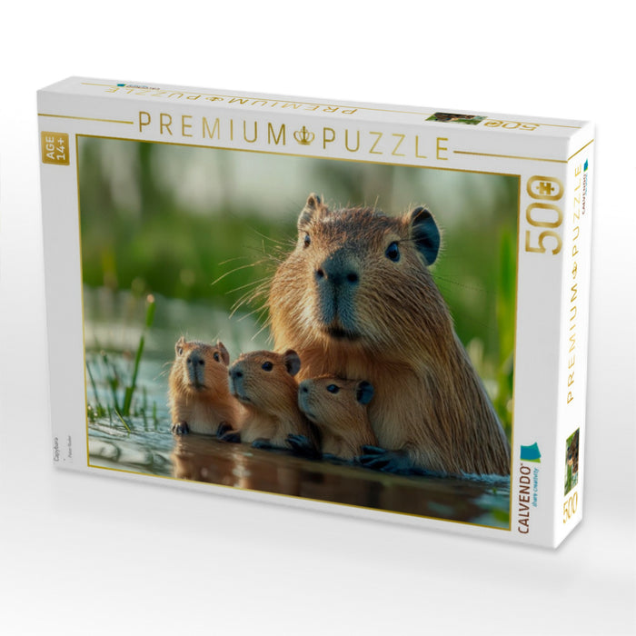 Capybara - CALVENDO Foto-Puzzle'
