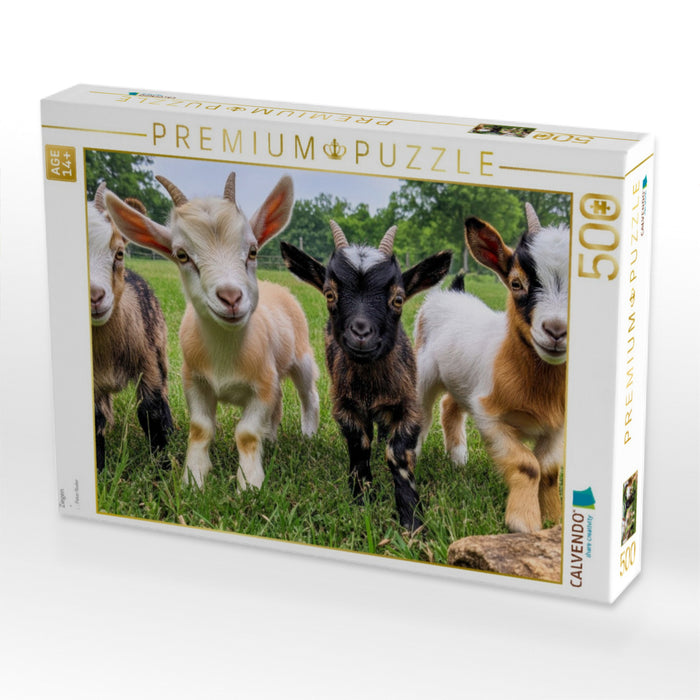 Ziegen - CALVENDO Foto-Puzzle'