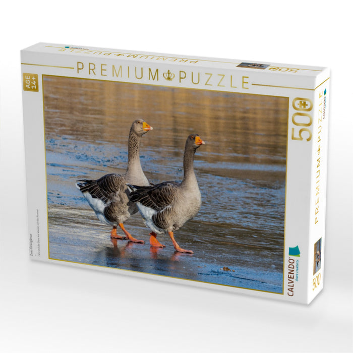 Zwei Graugänse - CALVENDO Foto-Puzzle'
