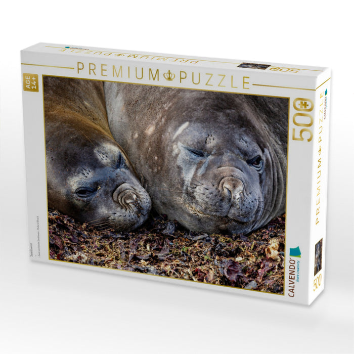 Seelöwen - CALVENDO Foto-Puzzle'
