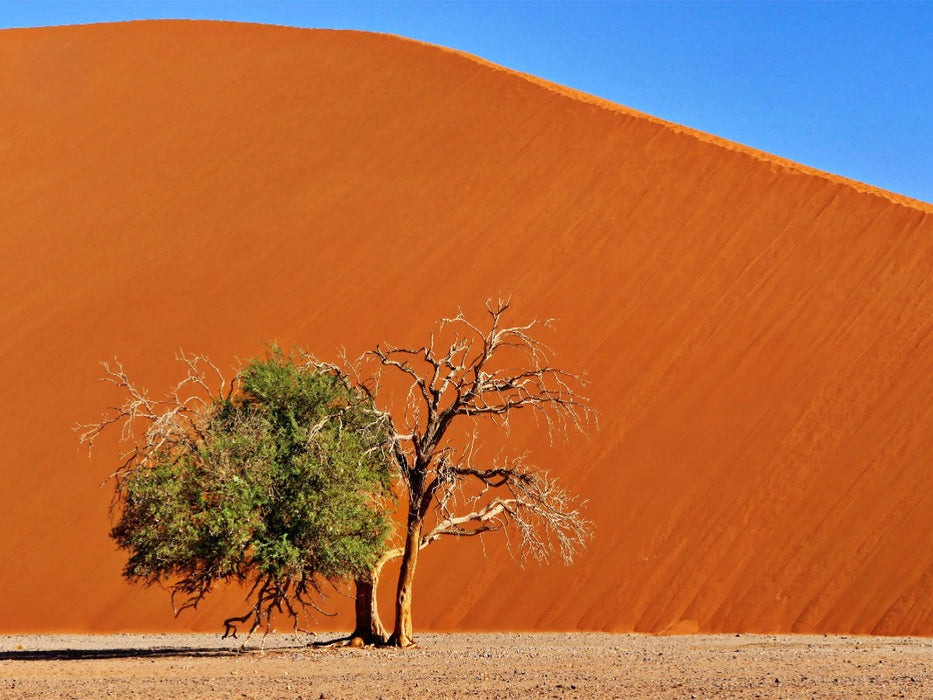 Düne 45 Namibia - CALVENDO Foto-Puzzle'