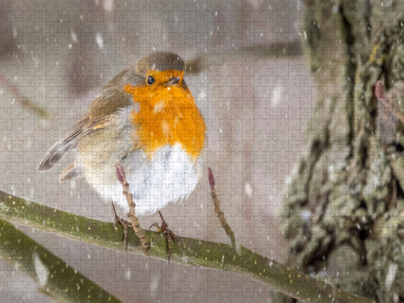 Der erste Schnee - CALVENDO Foto-Puzzle'