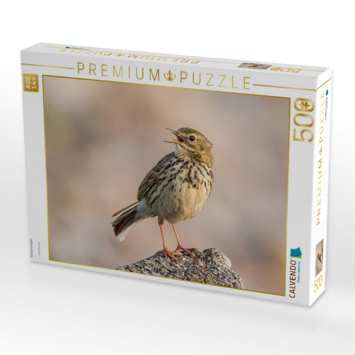 Wiesenpieper - CALVENDO Foto-Puzzle'