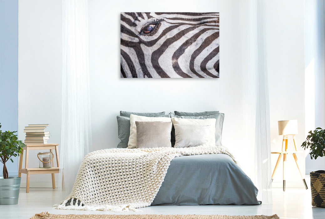 Premium Textil-Leinwand Premium Textil-Leinwand 120 cm x 80 cm quer Der Blick des Zebras