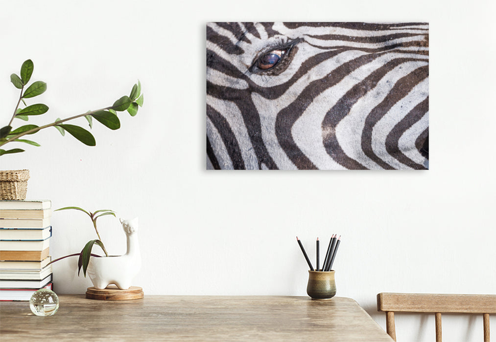 Premium Textil-Leinwand Premium Textil-Leinwand 120 cm x 80 cm quer Der Blick des Zebras