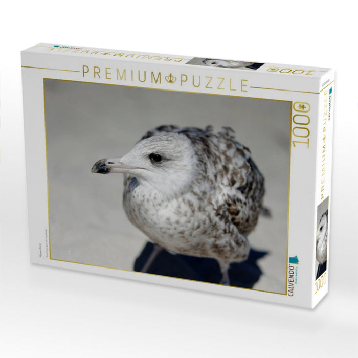 Möwen Kind - CALVENDO Foto-Puzzle'