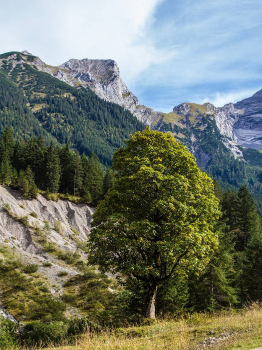 Grasbergjoch im Karwendel - CALVENDO Foto-Puzzle'