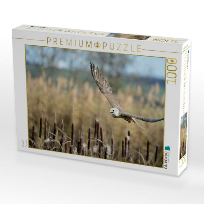 Würgfalke - CALVENDO Foto-Puzzle'