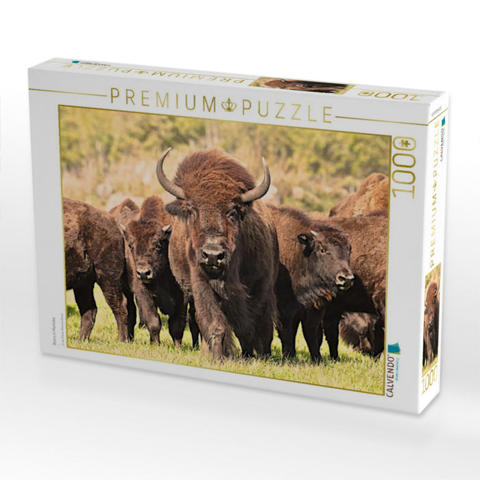 Bisons in Manitoba - CALVENDO Foto-Puzzle'