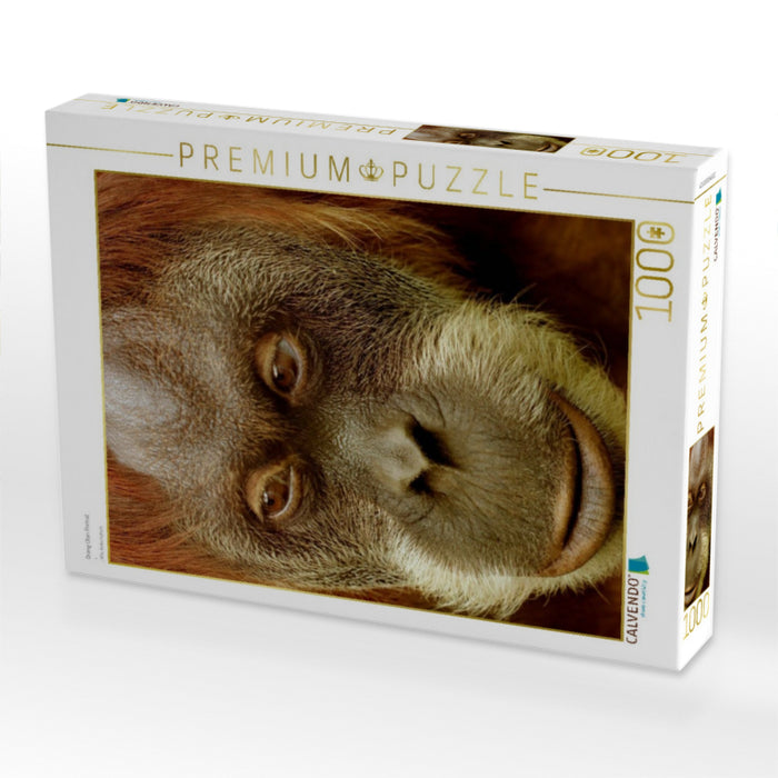 Orang Utan Porträt - CALVENDO Foto-Puzzle'