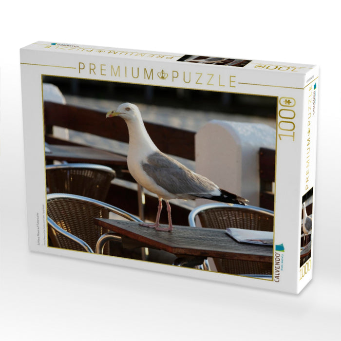 Schlaue Möwe auf Futtersuche - CALVENDO Foto-Puzzle'