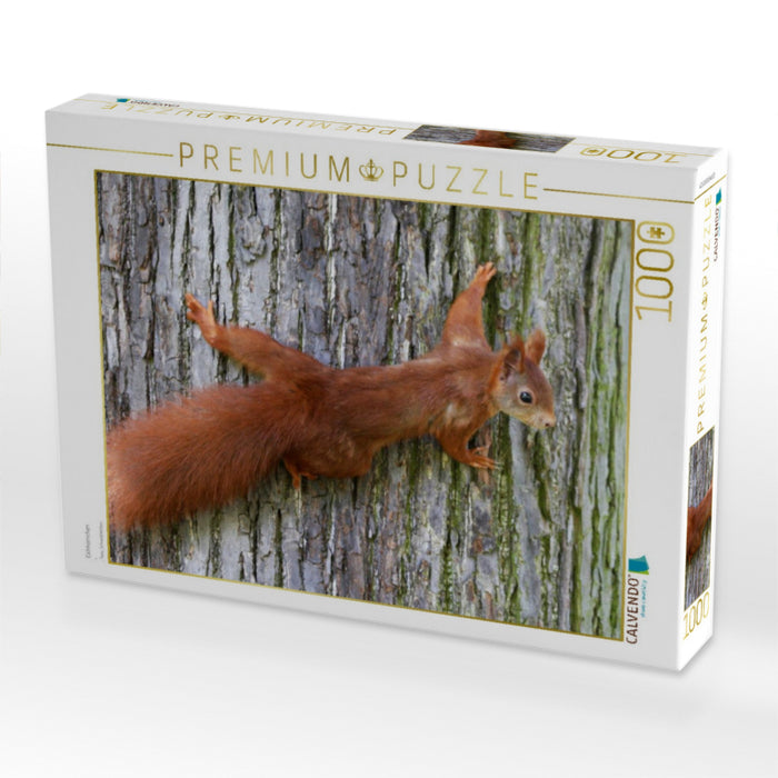 Eichhörnchen - CALVENDO Foto-Puzzle'