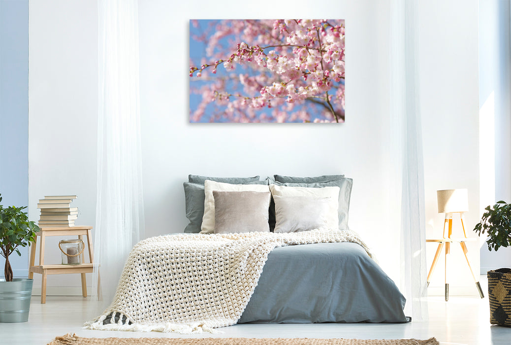 Premium Textil-Leinwand Premium Textil-Leinwand 120 cm x 80 cm quer Mandelblüten Baum