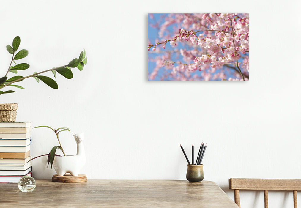 Premium textile canvas Premium textile canvas 120 cm x 80 cm landscape almond blossom tree 