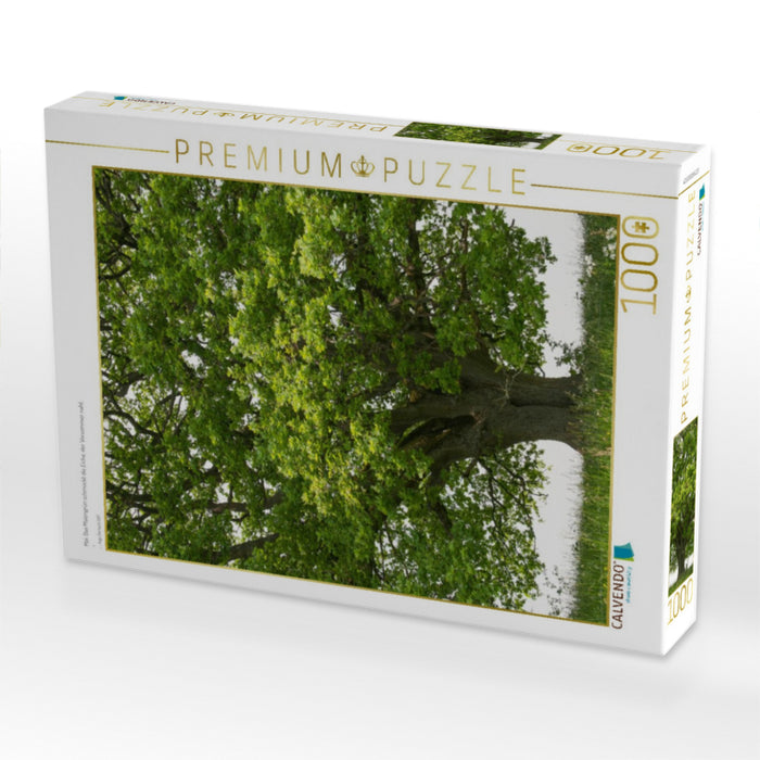 Mai: Das Maiengrün schmückt die Eiche, der Vorsommer naht. - CALVENDO Foto-Puzzle'