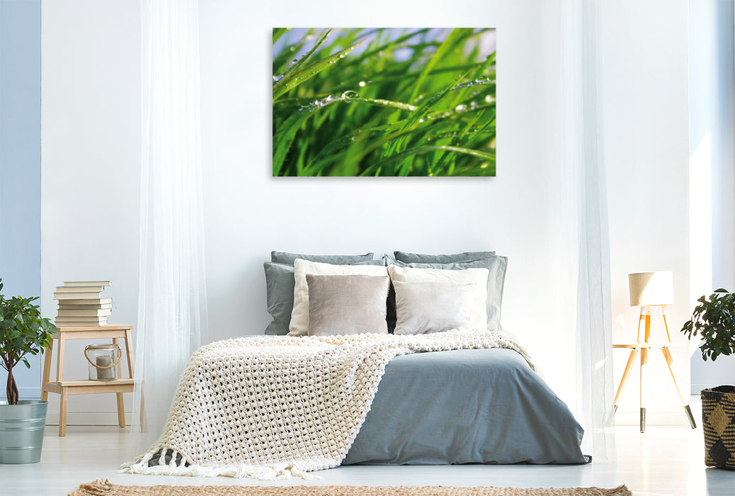 Premium textile canvas Premium textile canvas 120 cm x 80 cm landscape Wellness Grass 
