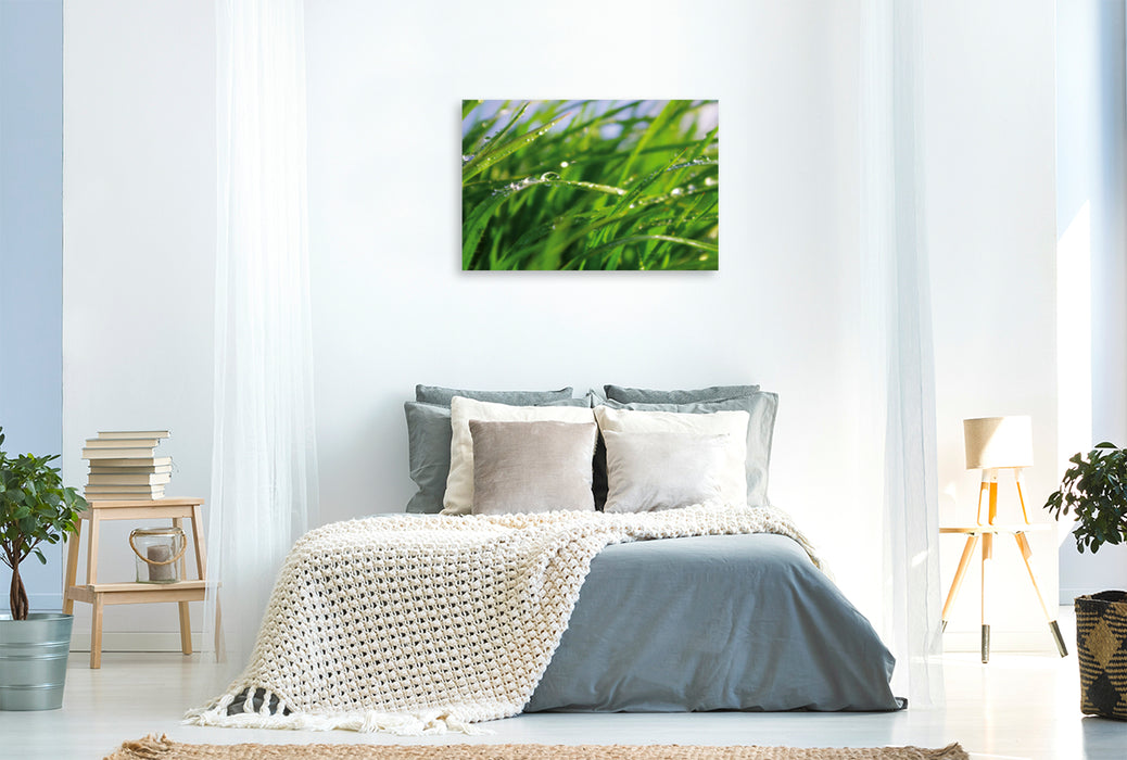 Premium textile canvas Premium textile canvas 120 cm x 80 cm landscape Wellness Grass 