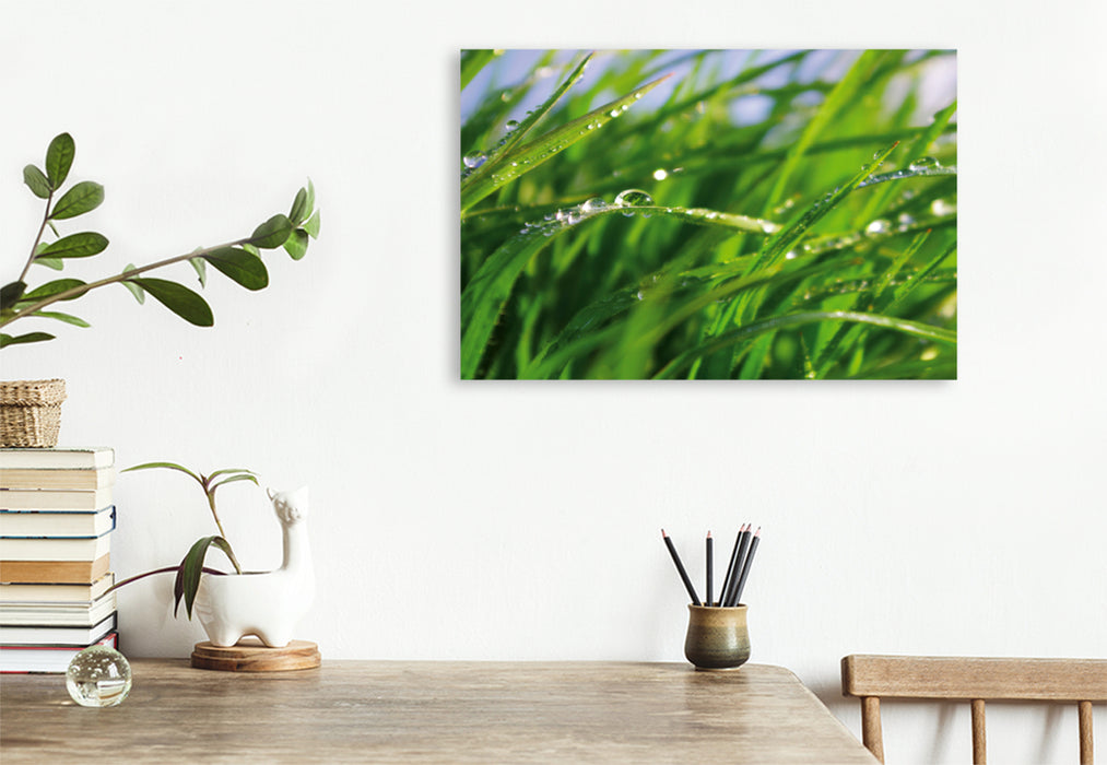 Premium textile canvas Premium textile canvas 120 cm x 80 cm landscape Wellness Grass 