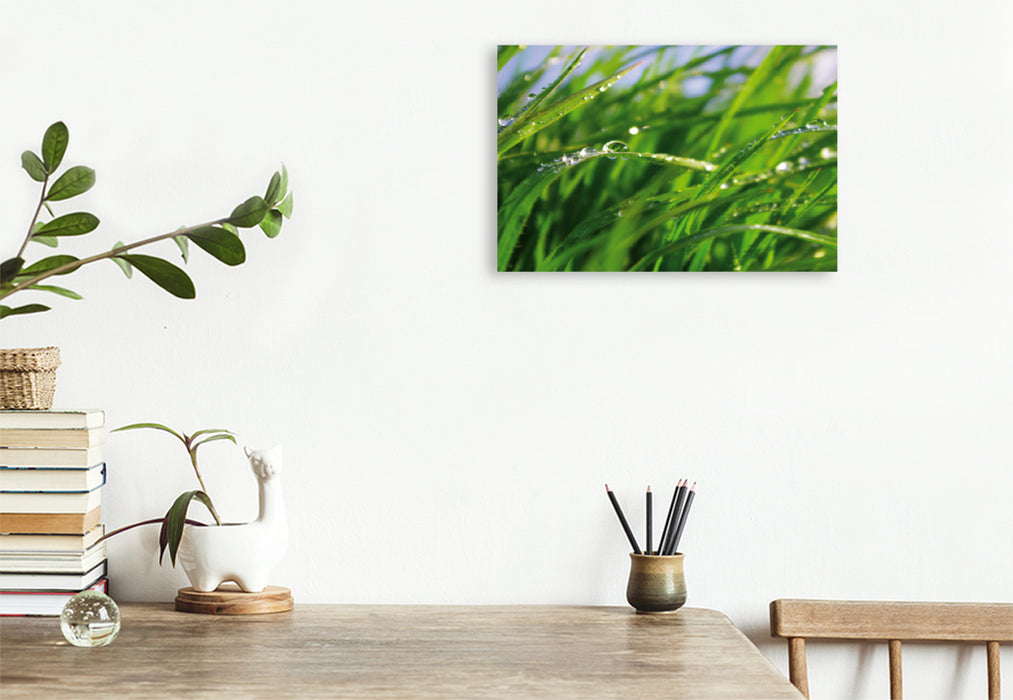 Premium textile canvas Premium textile canvas 120 cm x 80 cm landscape Wellness Grass 