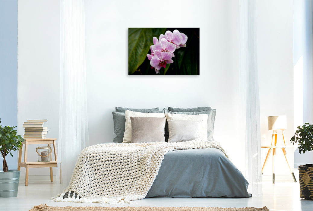 Toile textile premium Toile textile premium 120 cm x 80 cm paysage orchidées roses 