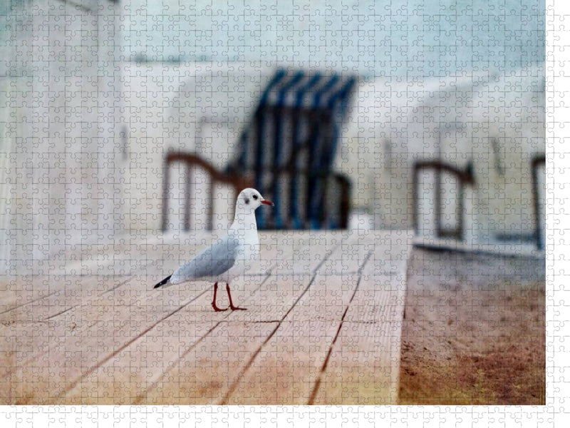 Möwe am Strand - CALVENDO Foto-Puzzle'