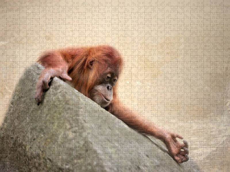 Kleiner Orang Utan - CALVENDO Foto-Puzzle'