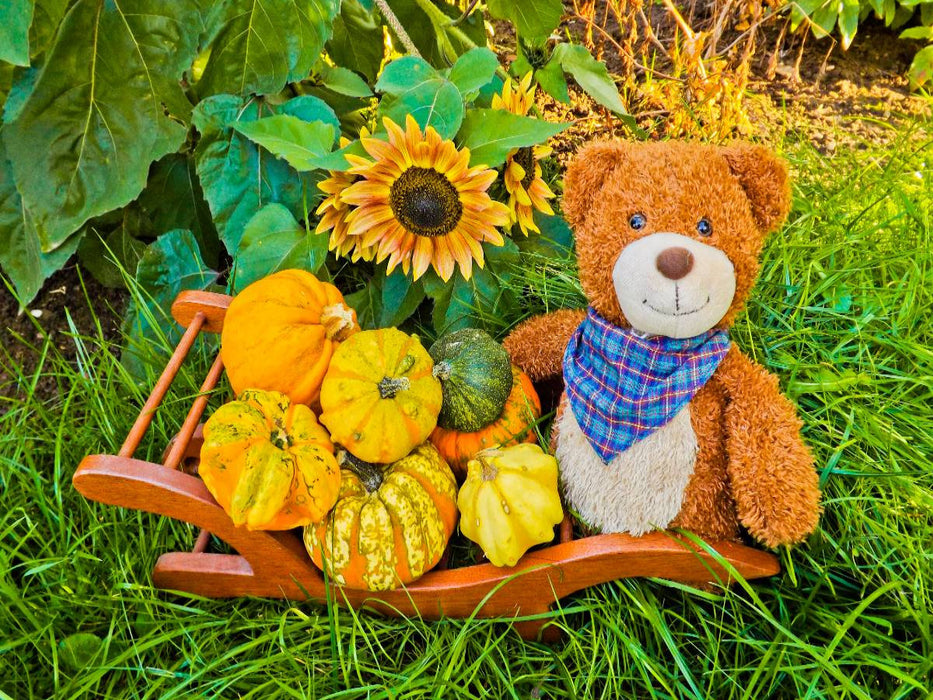 Ein Motiv aus dem Kalender Outdoor Teddies - CALVENDO Foto-Puzzle'
