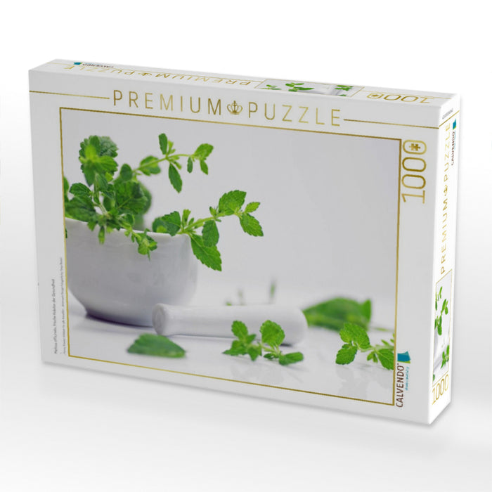 Melissa officinalis, frische Kräuter der Gesundheit - CALVENDO Foto-Puzzle'