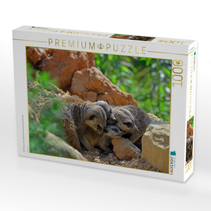 Ein Motiv aus dem Kalender Erdmännchens Kinderstube - CALVENDO Foto-Puzzle'