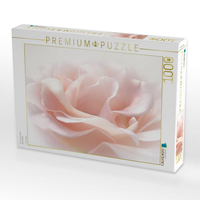 Die rosa Rose 1000 Teile Puzzle quer - CALVENDO Foto-Puzzle'