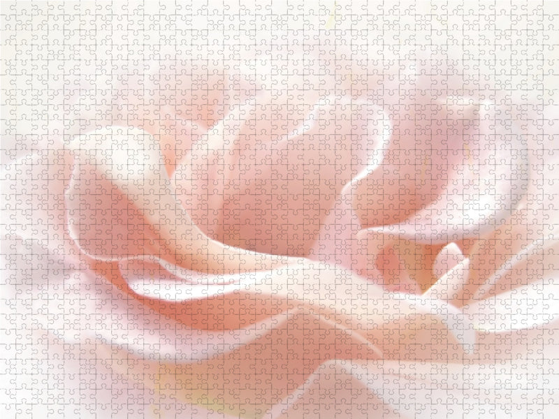 La rose rose - Puzzle photo CALVENDO 
