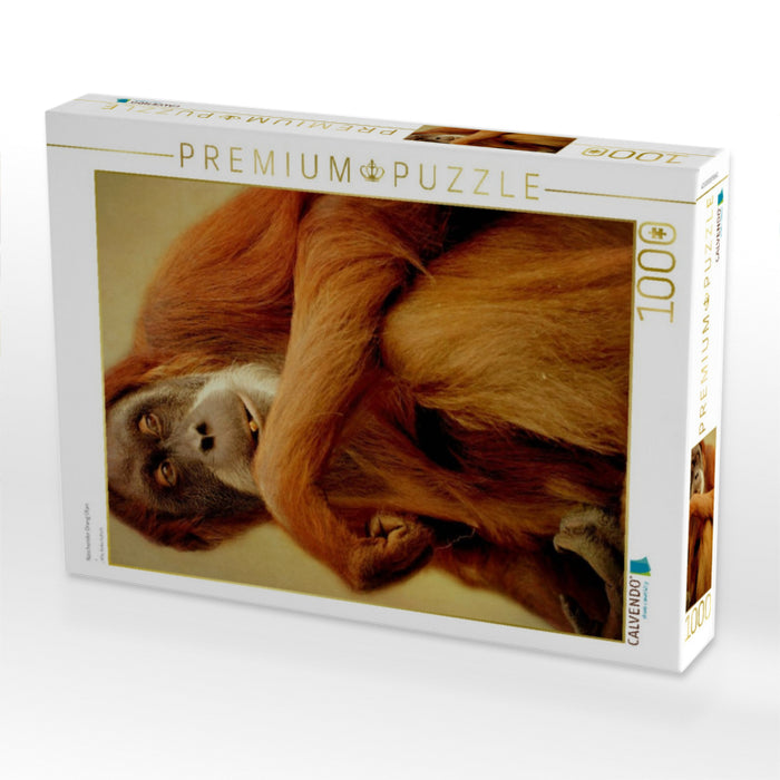 Naschender Orang Utan - CALVENDO Foto-Puzzle'
