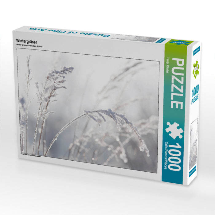 Wintergräser 1000 Teile Puzzle quer - CALVENDO Foto-Puzzle'