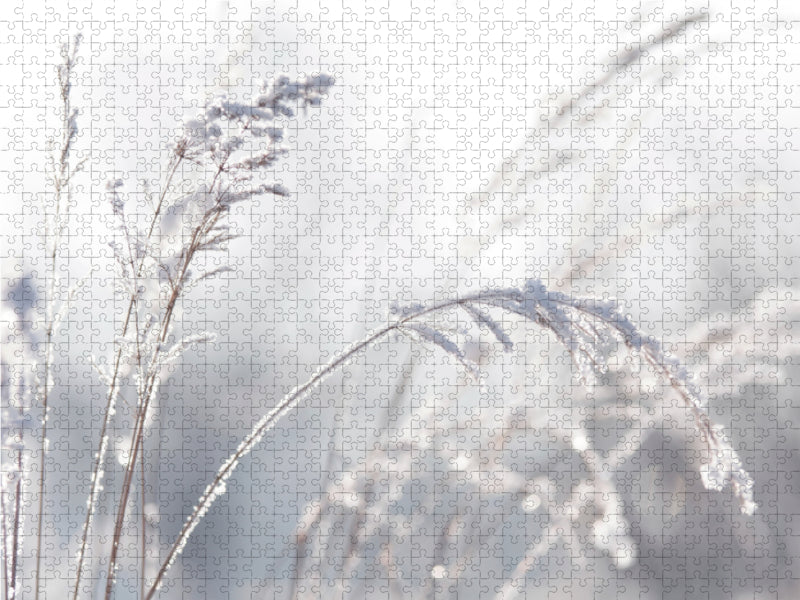 Wintergräser 1000 Teile Puzzle quer - CALVENDO Foto-Puzzle'
