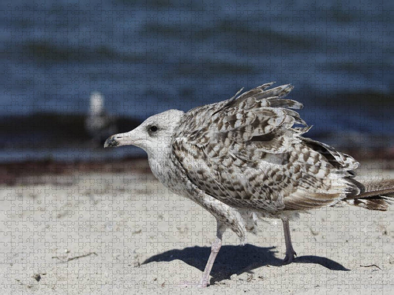 Ich bin schon weg - CALVENDO Foto-Puzzle'