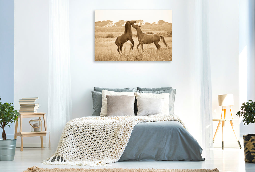 Premium Textil-Leinwand Premium Textil-Leinwand 120 cm x 80 cm quer Ein Motiv aus dem Kalender Tanz der wilden Pferde in der Camargue