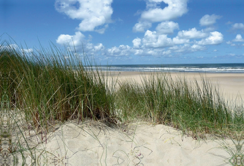 Premium Textil-Leinwand Ein Motiv aus dem Kalender Maritime Nordseeimpressionen
