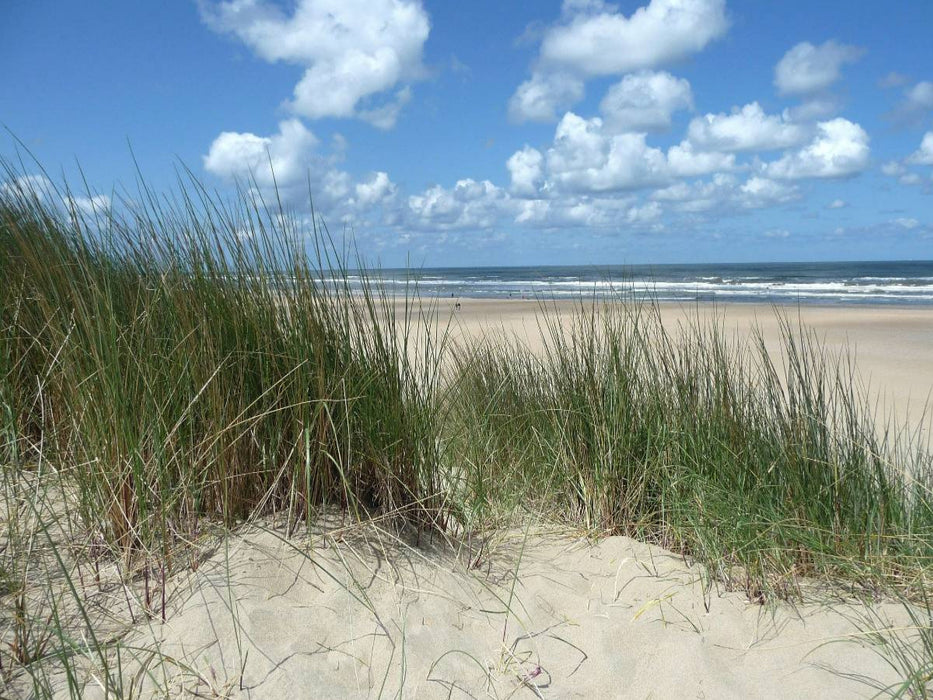 Dünenlandschaft - CALVENDO Foto-Puzzle'