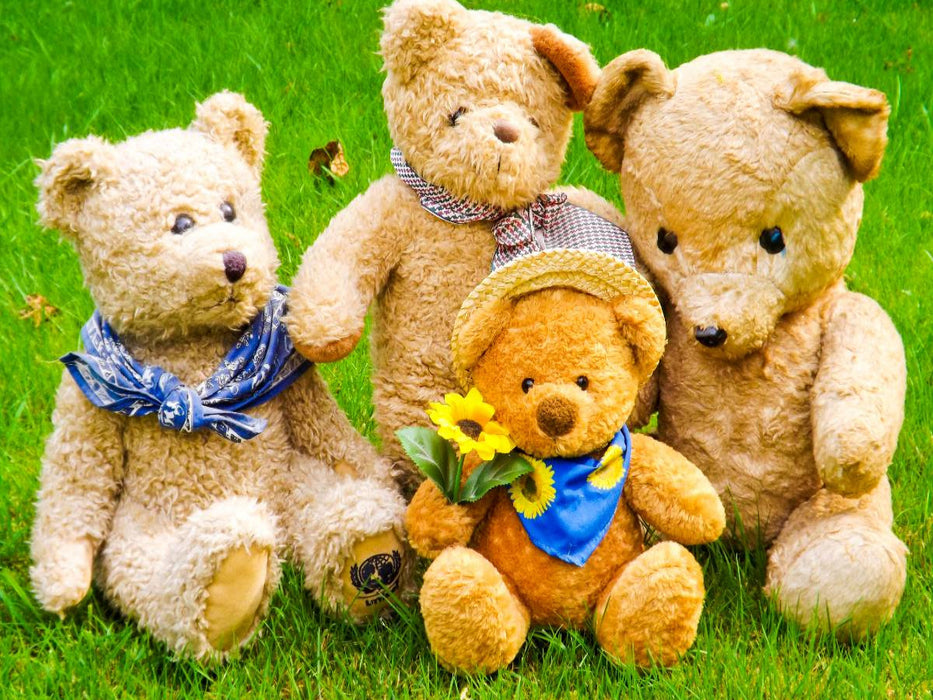 Einfach zum Knuddeln die Bärenfamilie - CALVENDO Foto-Puzzle'