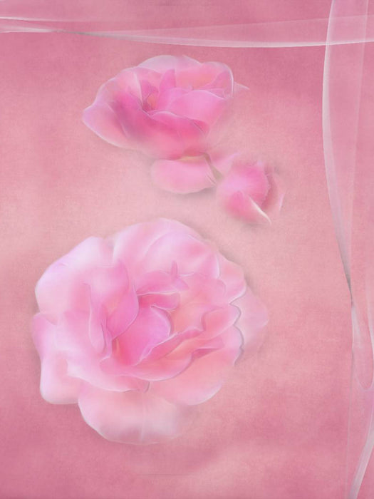 Die zarten Rosenblüten 1000 Teile Puzzle hoch - CALVENDO Foto-Puzzle'