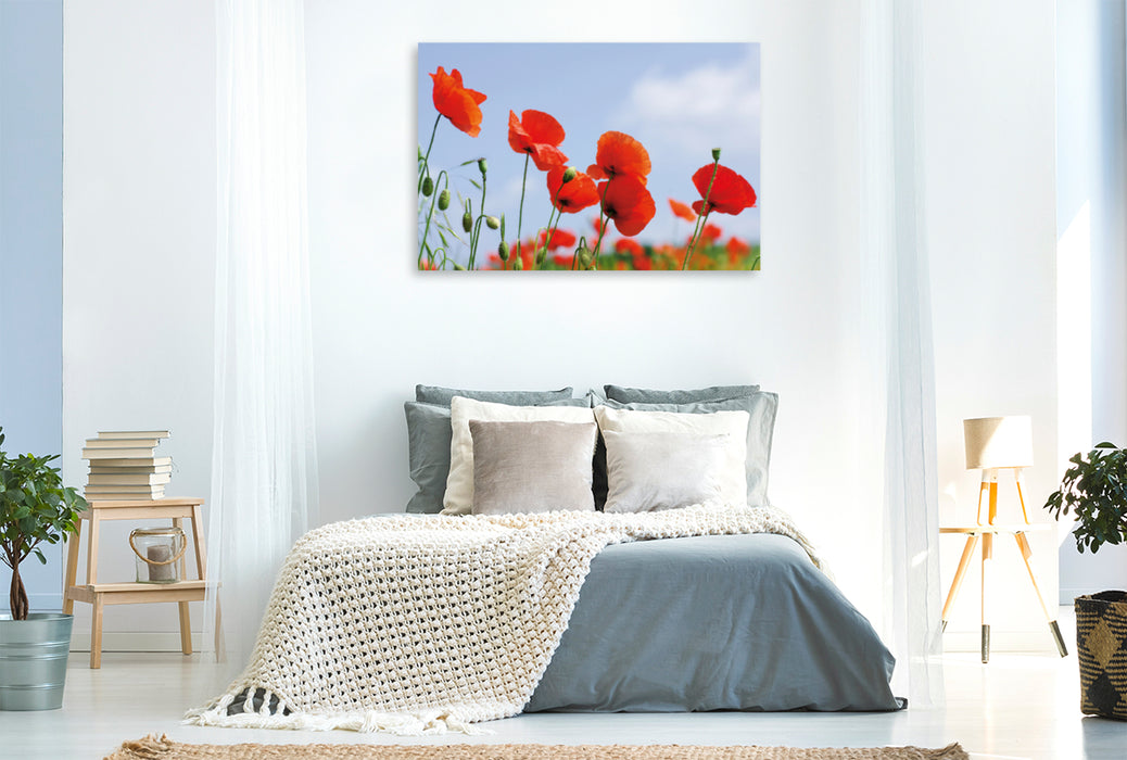 Premium Textil-Leinwand Premium Textil-Leinwand 120 cm x 80 cm quer Ein Motiv aus dem Kalender Poppies Träume