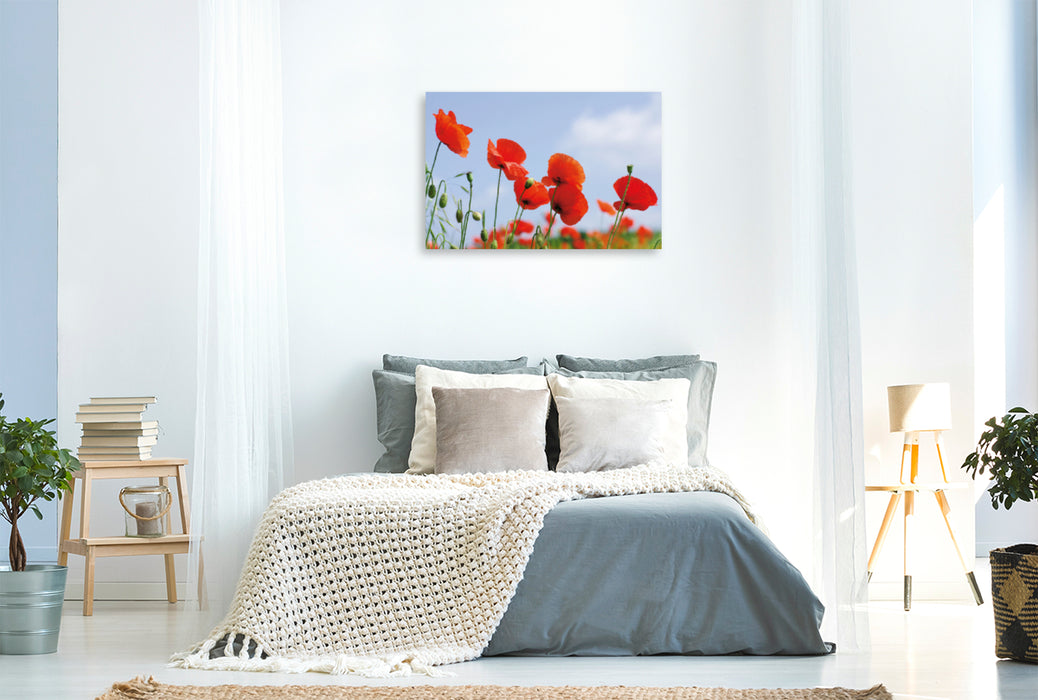 Premium Textil-Leinwand Premium Textil-Leinwand 120 cm x 80 cm quer Ein Motiv aus dem Kalender Poppies Träume