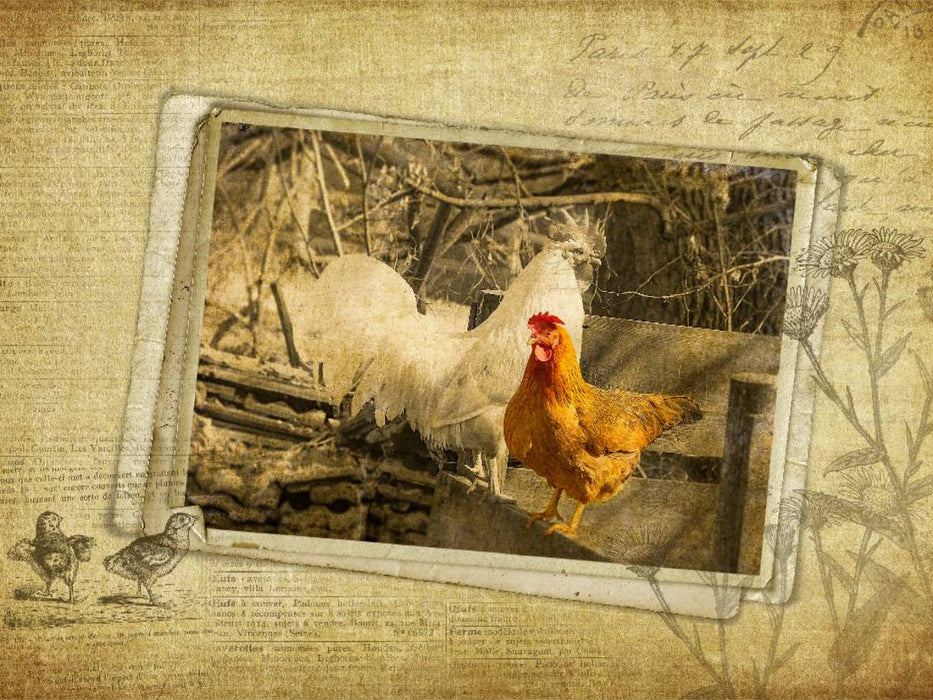 Ein Motiv aus dem Kalender French Vintage Country - CALVENDO Foto-Puzzle'
