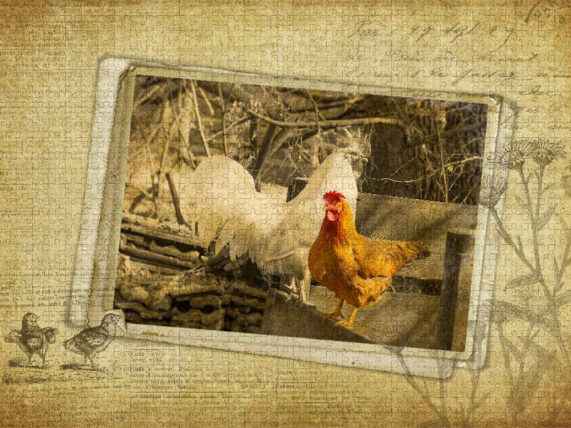 Ein Motiv aus dem Kalender French Vintage Country - CALVENDO Foto-Puzzle'
