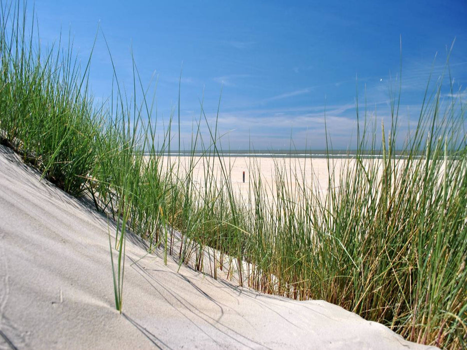Düne mit Strandgras - CALVENDO Foto-Puzzle'