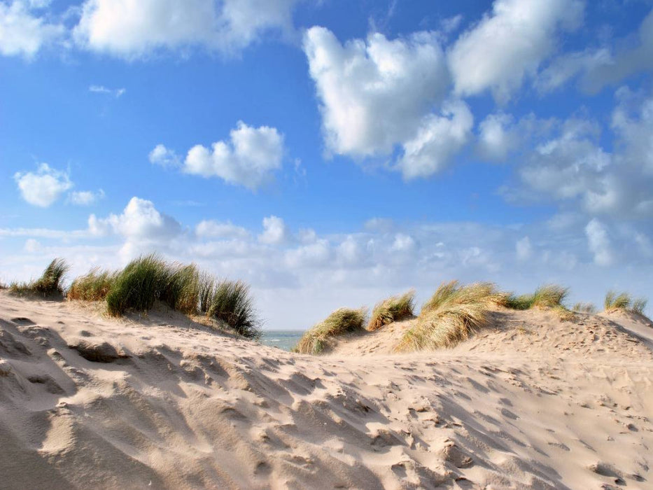 Dünenimpressionen - CALVENDO Foto-Puzzle'
