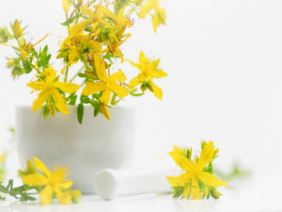 Hypericum perforatum; Johanniskraut - CALVENDO Foto-Puzzle'